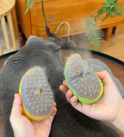 Pet Brush